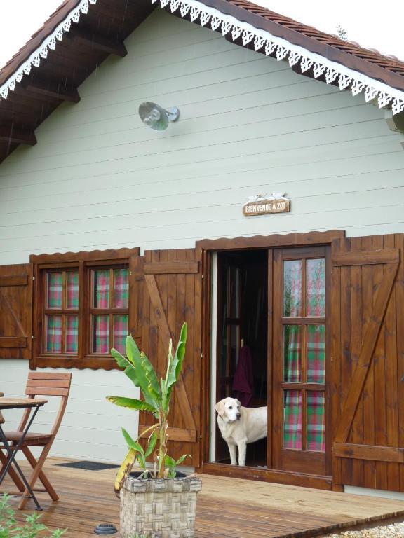 Bed and Breakfast Le Trot'In Chair Martigny-le-Comte Pokoj fotografie