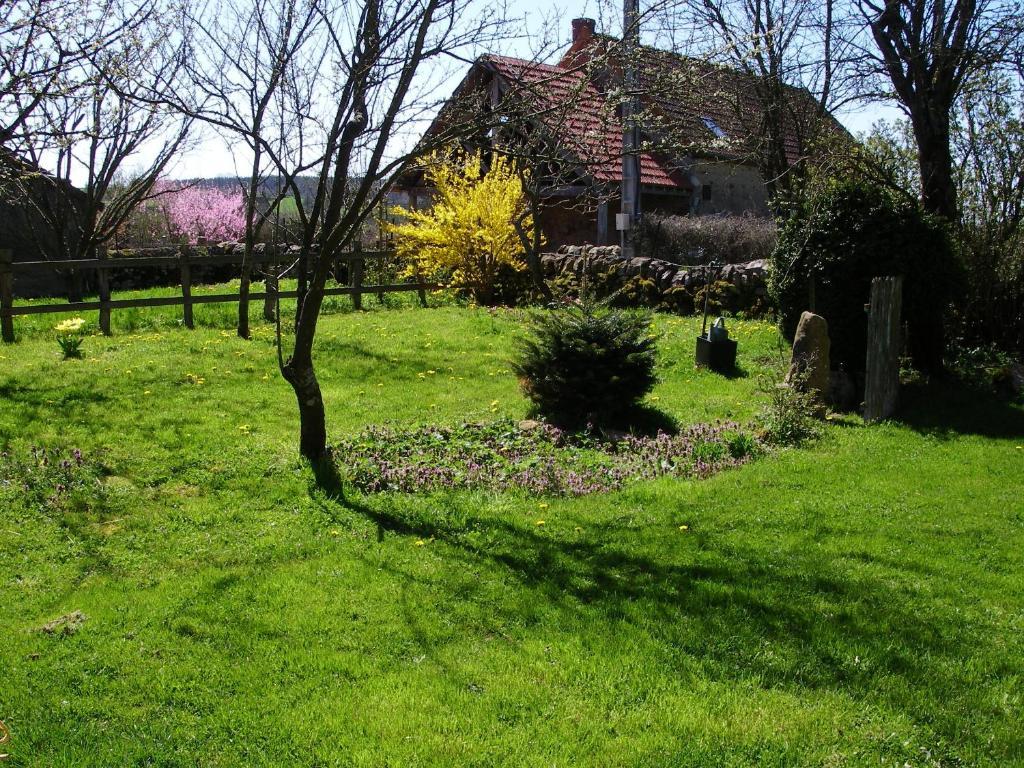 Bed and Breakfast Le Trot'In Chair Martigny-le-Comte Exteriér fotografie